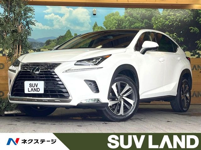 NX 200t Iパッケージ 