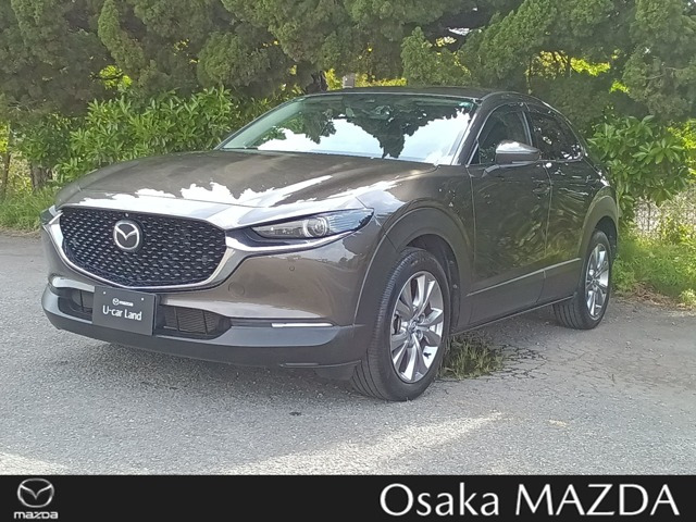 CX-30 2.0 20S プロアクティブ ツーリングセレクション 