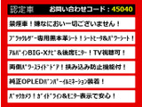 エルグランド 2.5 250ハイウェイスター 黒本革 BIGXナビ 禁煙