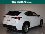 NX 300 Fスポーツ 