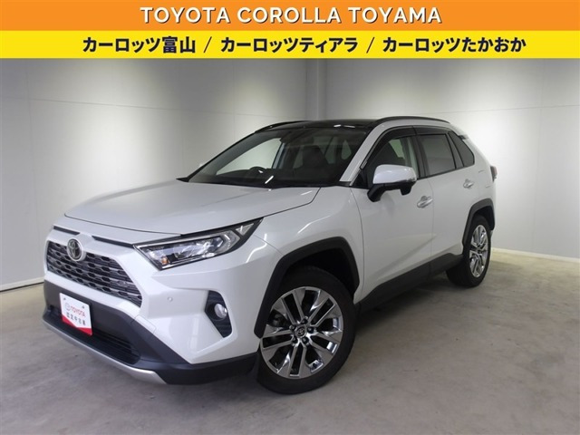 RAV4  2.0 G Zパッケージ 4WD