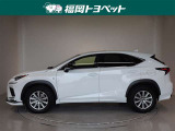 NX 300 Fスポーツ 