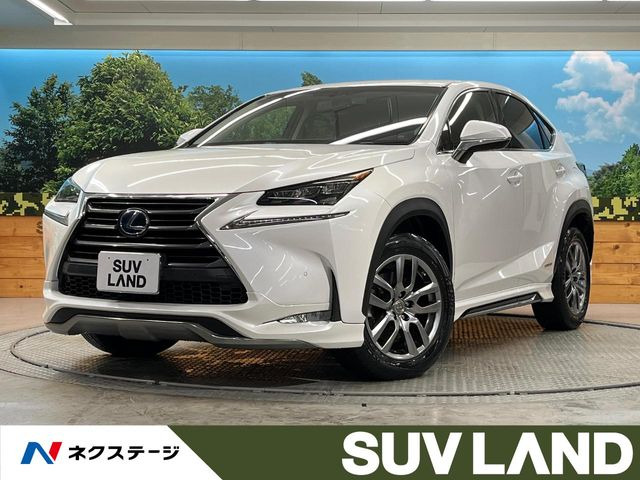 NX 300h Iパッケージ 