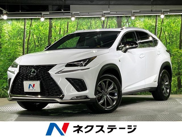 NX 300h Fスポーツ 