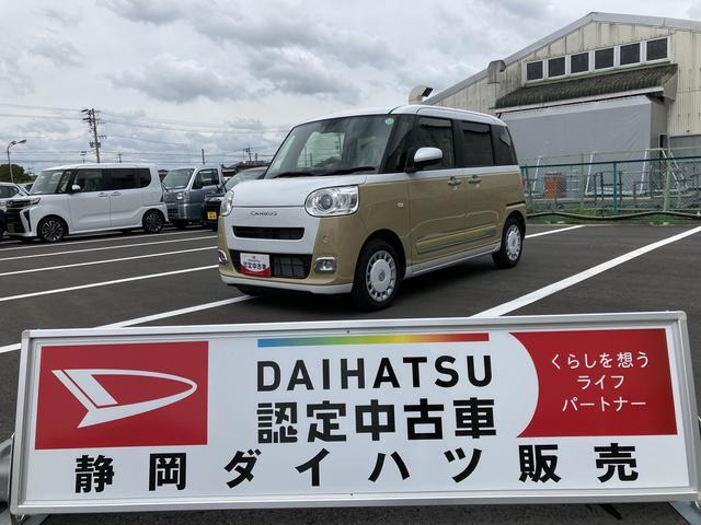 ムーヴキャンバス  ストライプス G