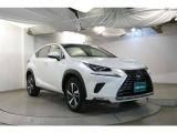 NX 300h Iパッケージ 