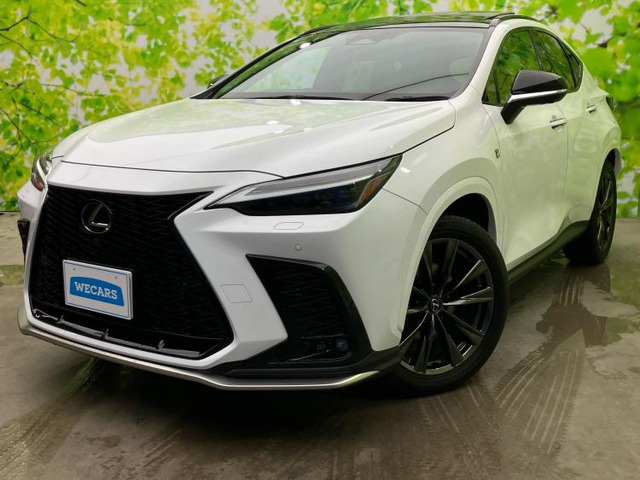 NX 350h Fスポーツ 