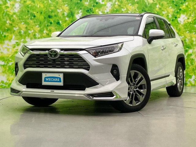 RAV4 2.0 G Zパッケージ 4WD 