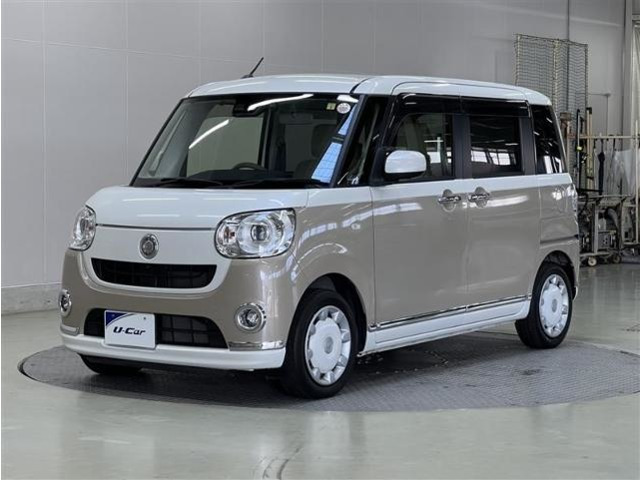 ムーヴキャンバス G SAIII MUL