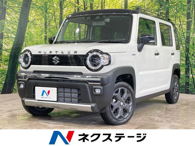 ハスラー タフワイルド 
