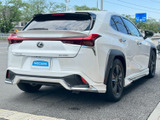 UX 200 バージョンC 
