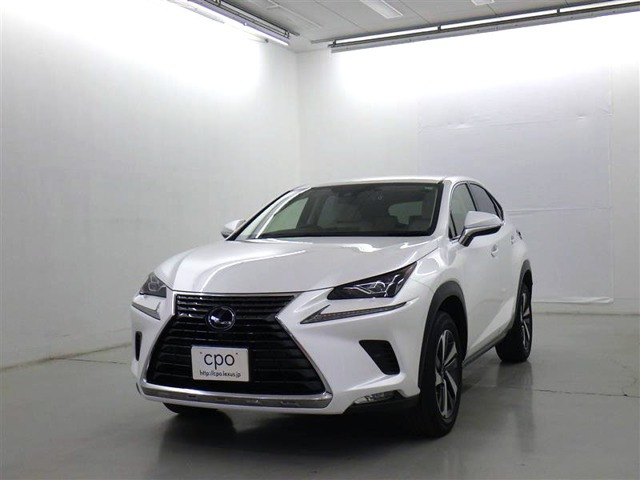 NX 300h バージョンL 