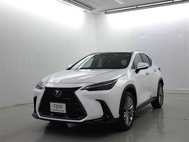NX 250 バージョンL NX 250 バージョンL