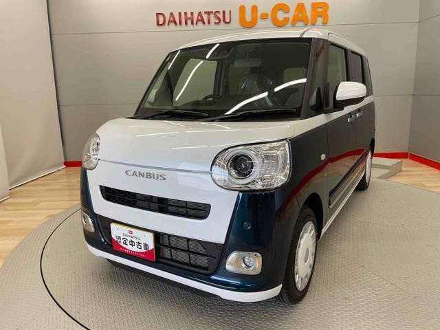 ムーヴキャンバス  ストライプス G