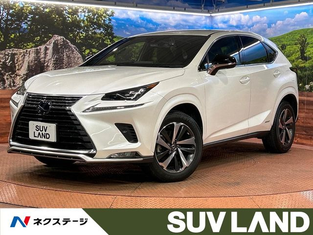 NX 300h スパイス&シック 