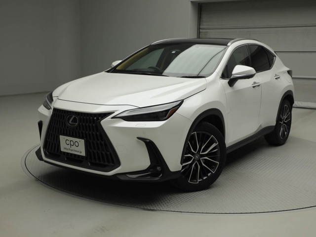 NX 250 バージョンL NX 250 バージョンL
