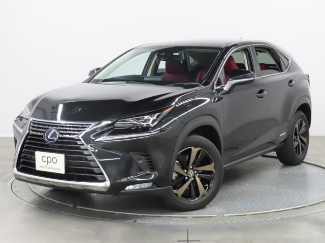 NX 300h バージョンL 