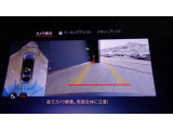 ドアハンドルには握りやすいグリップ形状が採用されています。空力面からは不利ですが、万一の事故の際など、車内に残された乗員を救出する為、外部からドアを開けやすいようになっています。