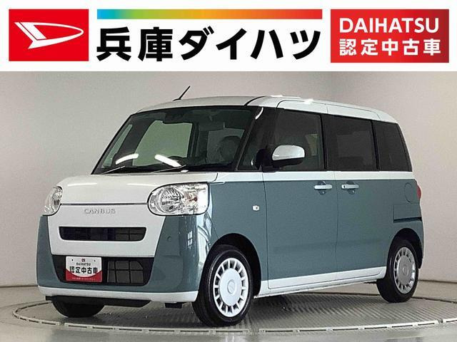 ムーヴキャンバス  ストライプス X