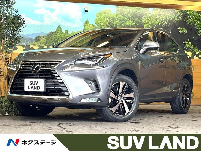 NX 300h バージョンL 