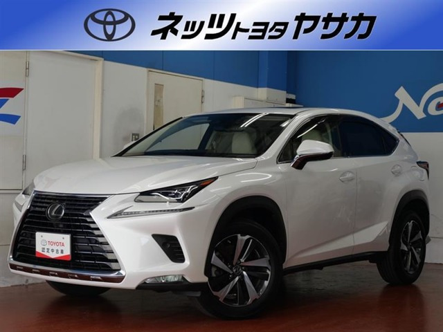NX 300 Iパッケージ 