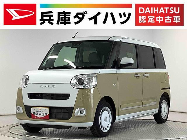 ムーヴキャンバス  ストライプス G