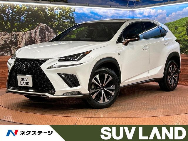 NX 300 Fスポーツ 
