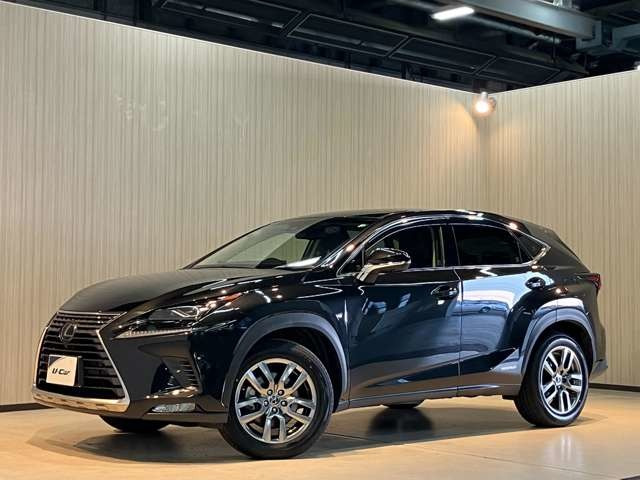 NX 300h バージョンL 4WD 