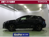 NX 300h スパイス&シック