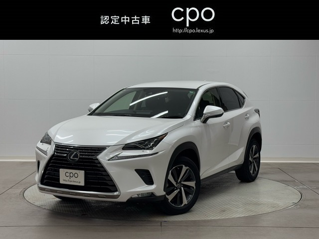 NX 300 バージョンL 4WD 