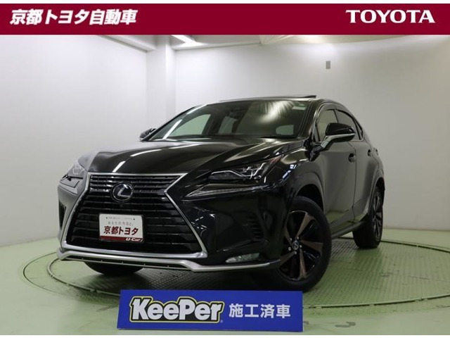 NX 300h スパイス&シック