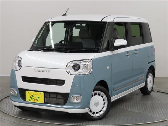 ムーヴキャンバス  ストライプス G