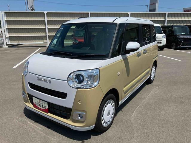ムーヴキャンバス  ストライプス G