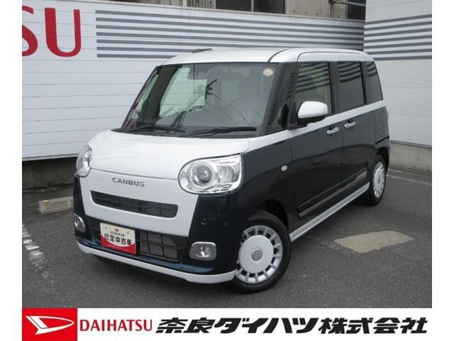 ムーヴキャンバス  ストライプス G