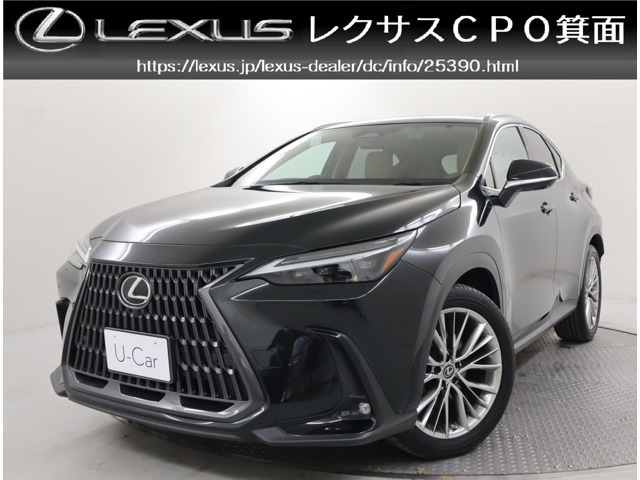 NX 250 バージョンL 4WD 