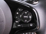 【アダプティブクルーズコントロール】予め設定した車速内でクルマが自動的に加減速。前走車との適切な車間距離を維持しながら追従走行します。【LKAS】車線維持支援システムでステアリング操作を支援。
