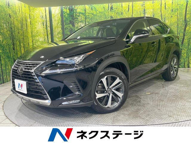 NX 300 バージョンL 