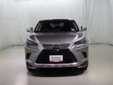 NX 300 