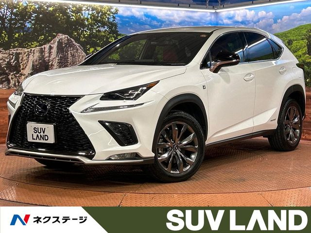 NX 300h Fスポーツ 