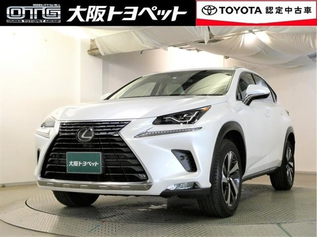 NX 300 Iパッケージ 