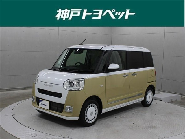 ムーヴキャンバス  ストライプス G