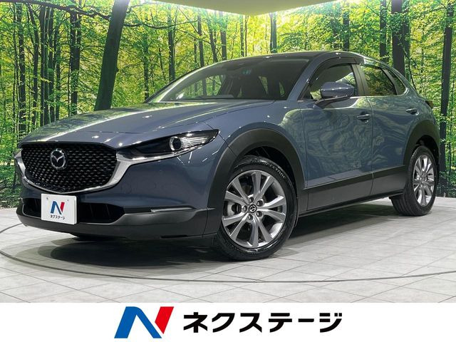 CX-30 2.0 20S 