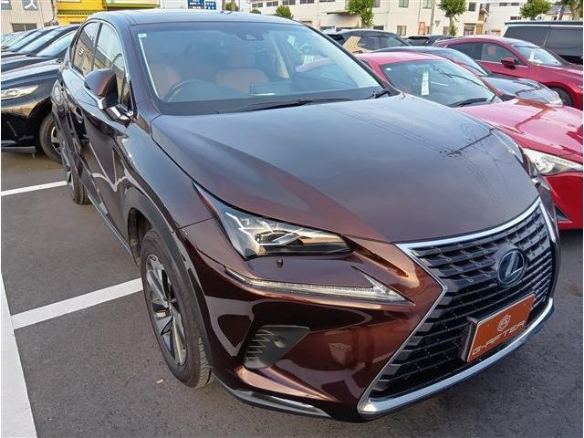 NX 300h バージョンL サンルーフナビTV電動RゲートOP18インチAW