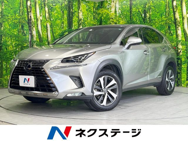 NX 300h Iパッケージ 