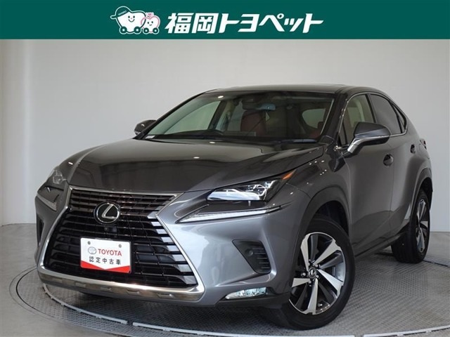 NX 300 バージョンL 