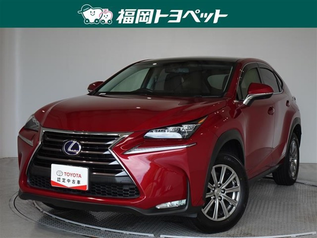 NX 300h Iパッケージ 