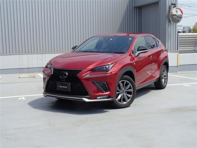 NX 300h Fスポーツ 