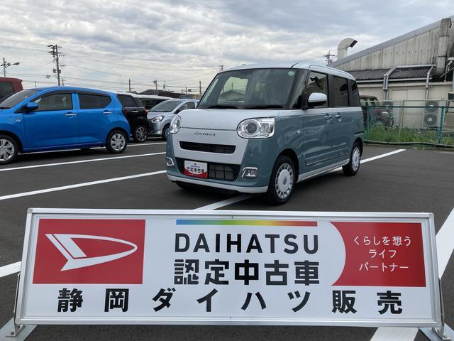 ムーヴキャンバス  ストライプス G