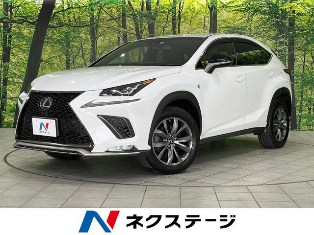 NX 300 Fスポーツ 