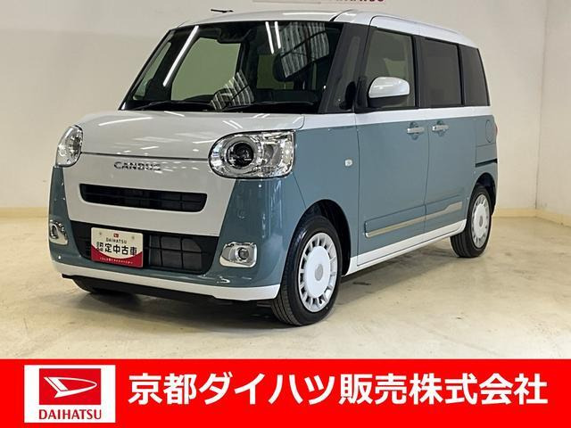 ムーヴキャンバス  ストライプス G